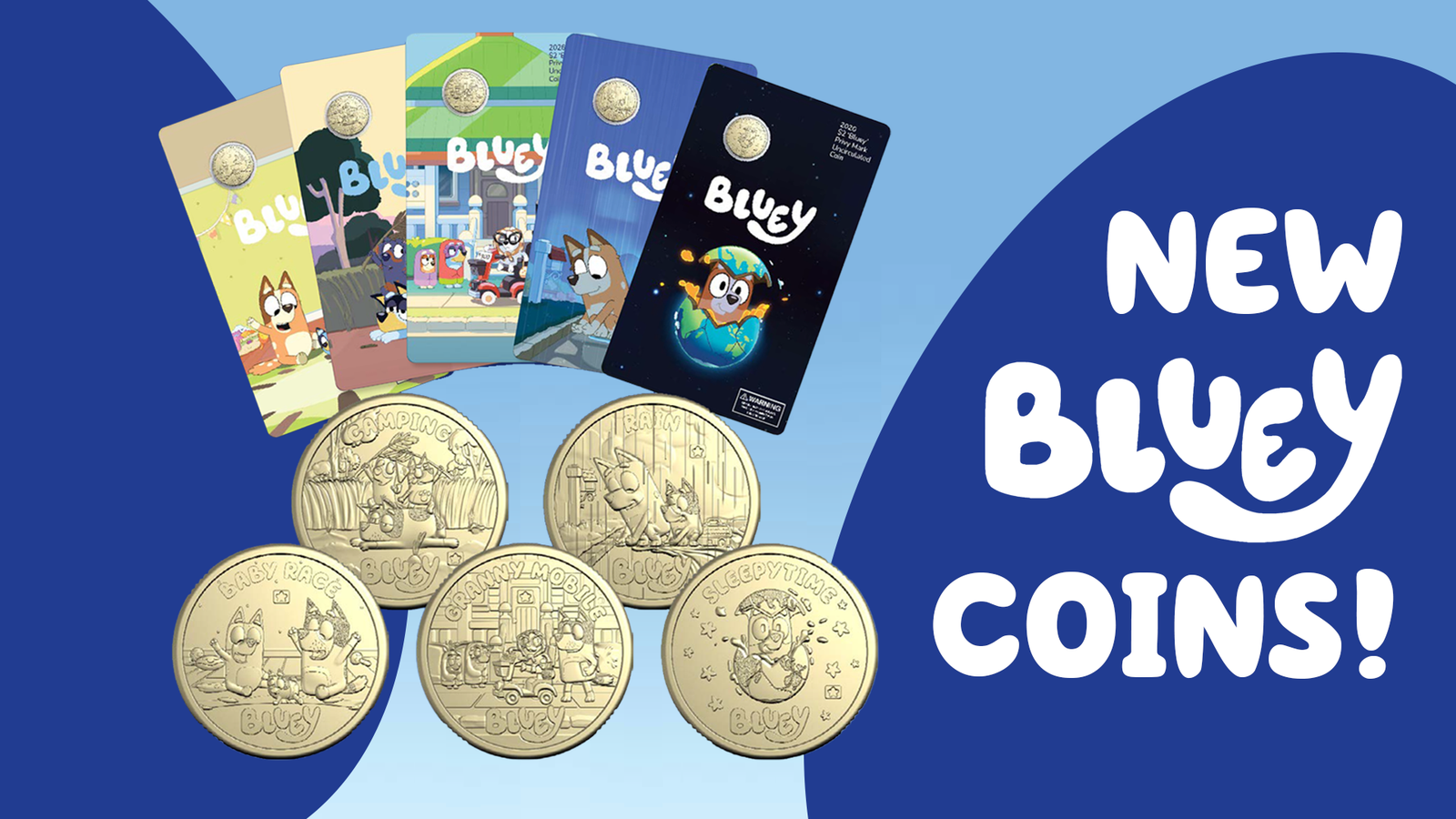 bluey coins